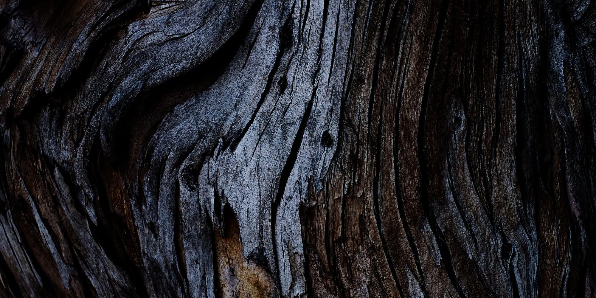 A close up of the bark on an old tree